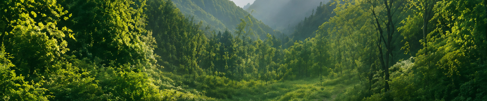 Footer Background